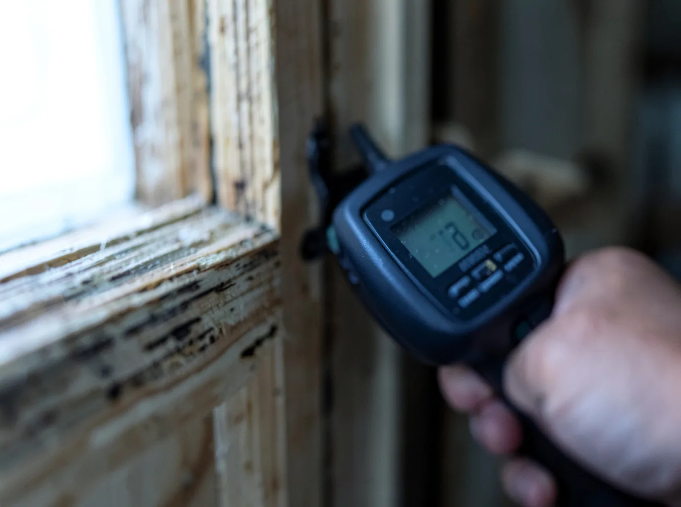 Commercial Water Damage Restoration in Berwick, IL